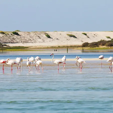 Quinta Dos Poetas Nature & Hotel