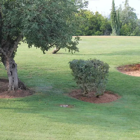 Quinta Dos Poetas Nature & Pechão