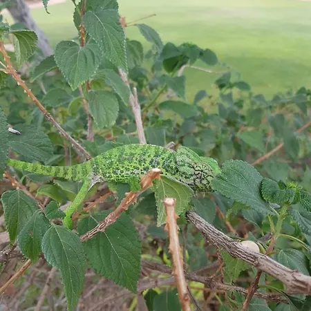 Quinta Dos Poetas Nature &