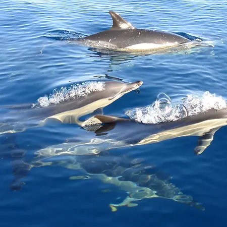 Quinta Dos Poetas Nature & Hotel