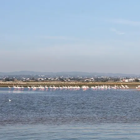 Hotel Quinta Dos Poetas Nature & Pechao