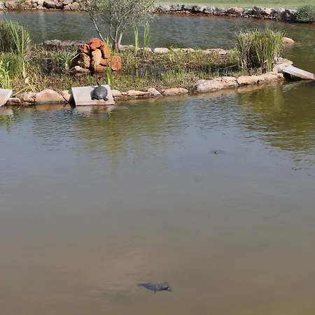 Quinta Dos Poetas Nature & 4* Pechao