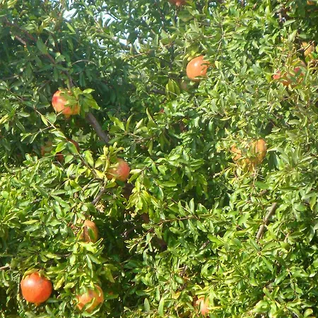 Quinta Dos Poetas Nature & Hotel Pechao