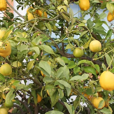 Quinta Dos Poetas Nature &