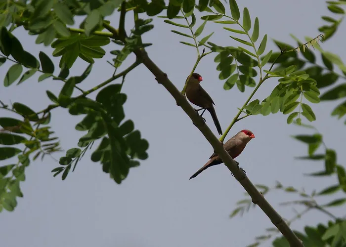 Quinta Dos Poetas Nature & 4* Pechão