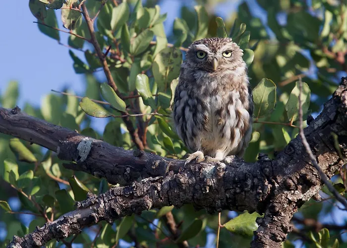Hotel Quinta Dos Poetas Nature &